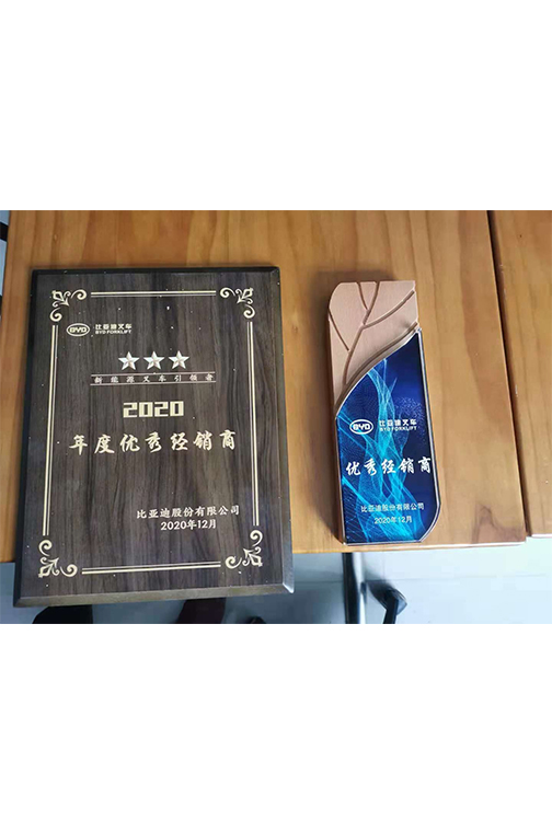 慈溪市比亚迪2020优秀经销商
